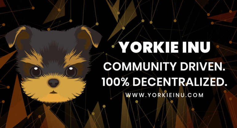 Yorkie Image Yorkie Inu
